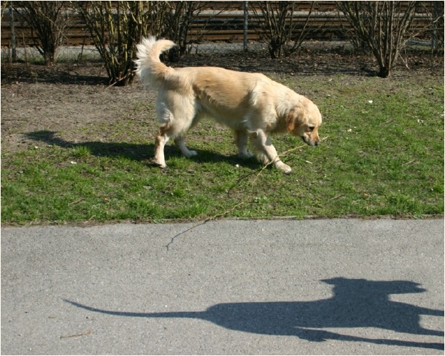 <b>wenn du meinen Schatten f�ngst, bist du Sieger!<b>